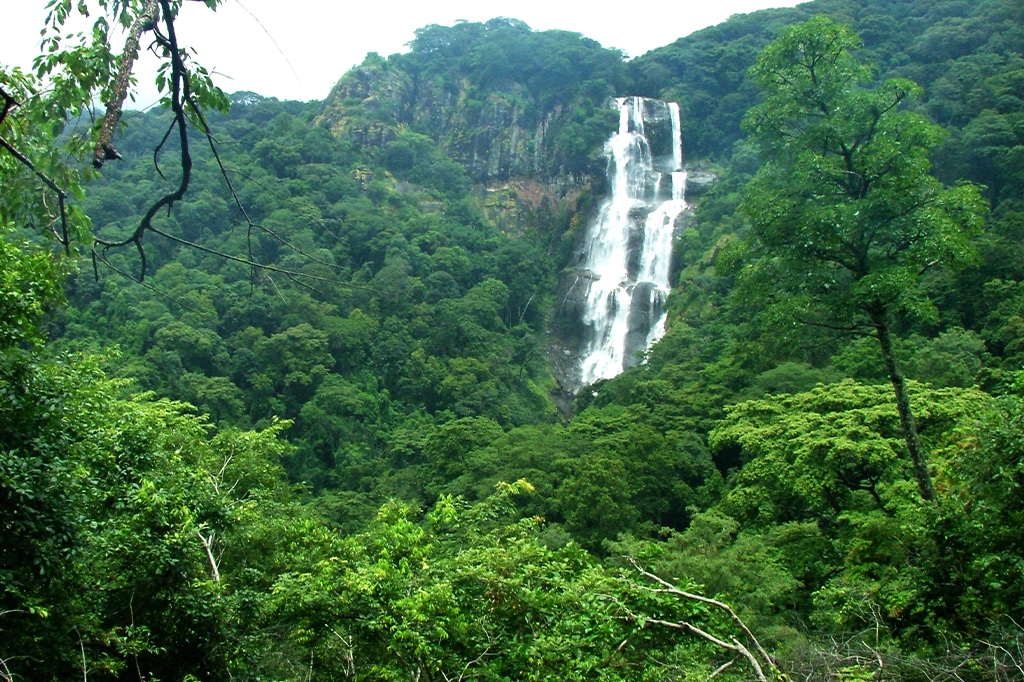Sanje-Waterfall-Udzungwa-Mountains-National-Park-Tanzania