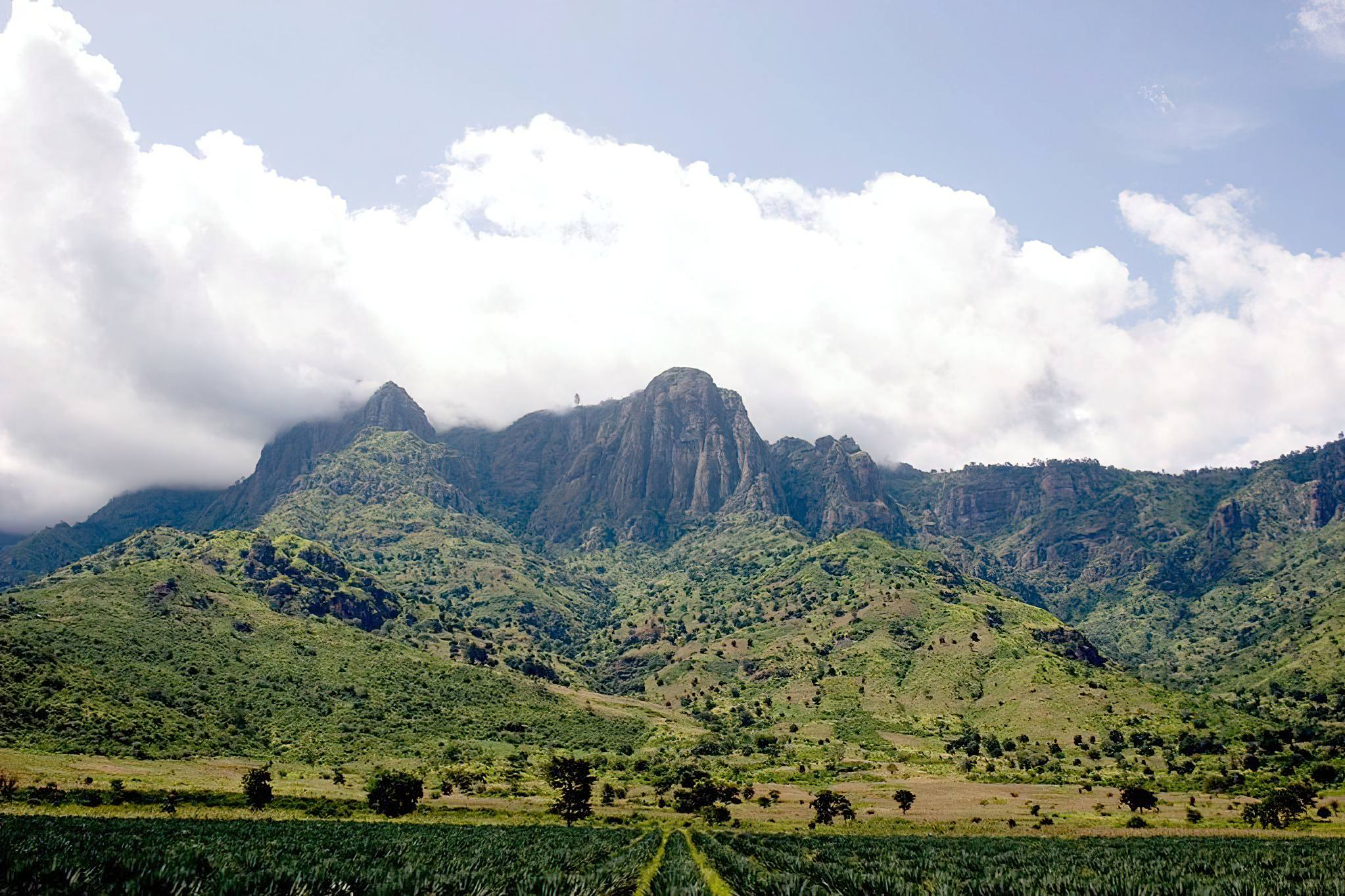 West_Usambara_Mountains