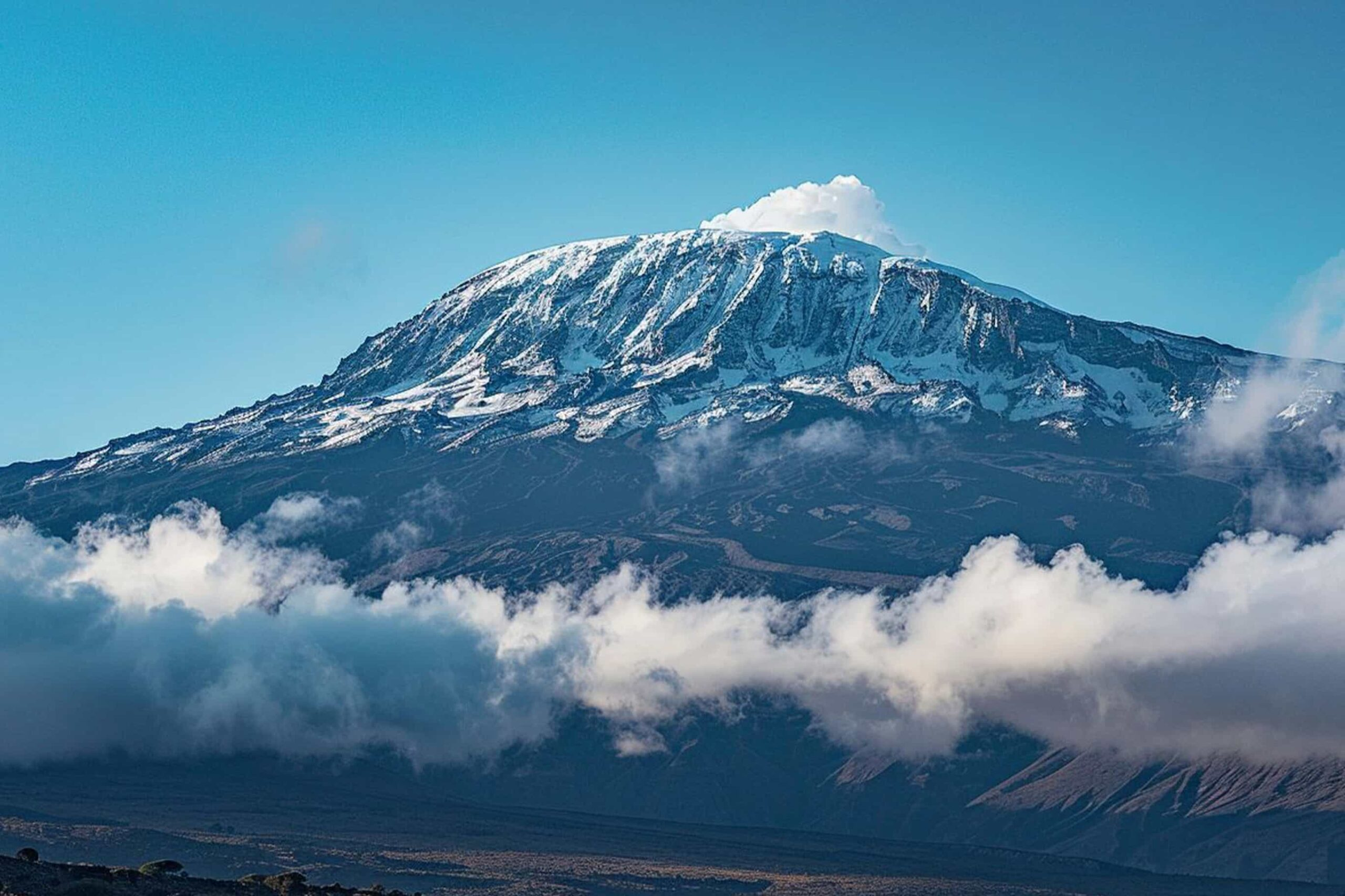 kilimanjaro