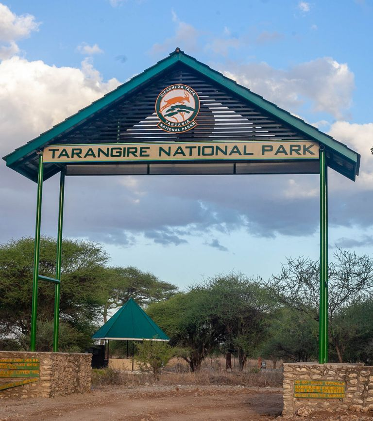 tarangire-national-park-1